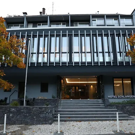 Hotel Schlangenbader Hof 3*