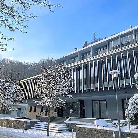 Schlangenbader Hof 호텔